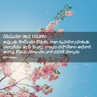 Picture 02 - యెషయా 36:3 TELIRV - అప్పుడు హిల్కీయా - Bible Verse Picture