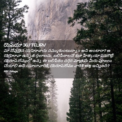 Picture 02 - యెషయా 36:7 TELIRV - మా దేవుడైన - Bible Verse Picture