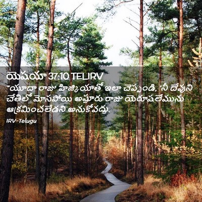 Picture 02 - యెషయా 37:10 TELIRV - “యూదా రాజు - Bible Verse Picture