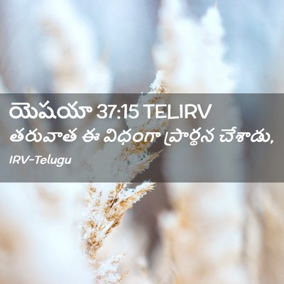 Picture 02 - యెషయా 37:15 TELIRV - తరువాత ఈ విధంగా - Bible Verse Picture