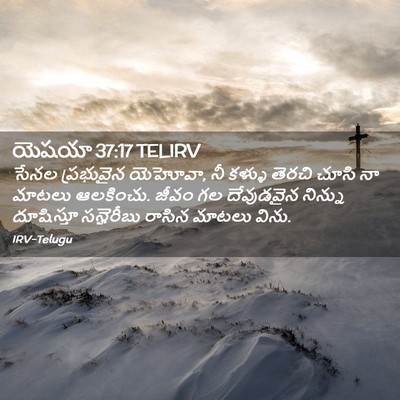 Picture 02 - యెషయా 37:17 TELIRV - సేనల ప్రభువైన - Bible Verse Picture