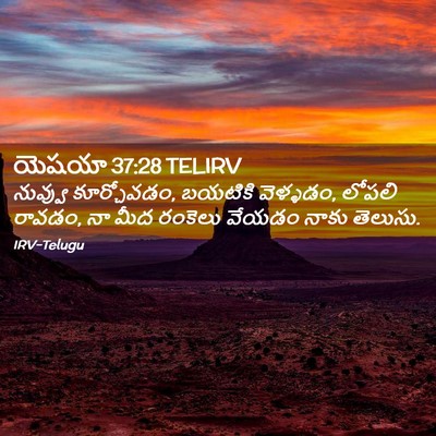 Picture 02 - యెషయా 37:28 TELIRV - నువ్వు కూర్చోవడం, - Bible Verse Picture