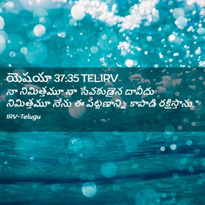 Picture 02 - యెషయా 37:35 TELIRV - నా నిమిత్తమూ నా - Bible Verse Picture