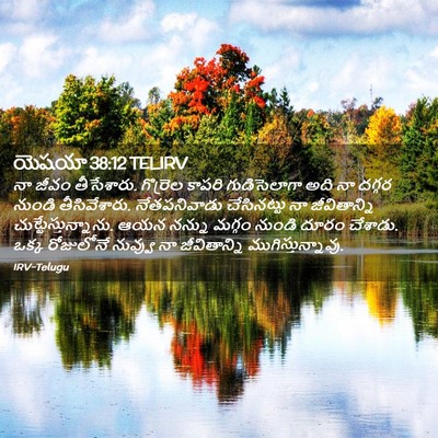 Picture 02 - యెషయా 38:12 TELIRV - నా జీవం తీసేశారు. - Bible Verse Picture