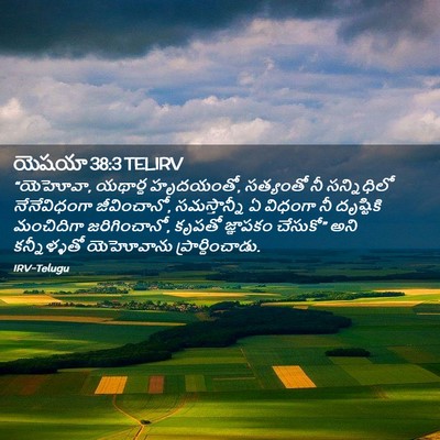 Picture 02 - యెషయా 38:3 TELIRV - “యెహోవా, యథార్థ - Bible Verse Picture