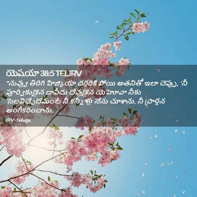 Picture 02 - యెషయా 38:5 TELIRV - “నువ్వు తిరిగి - Bible Verse Picture