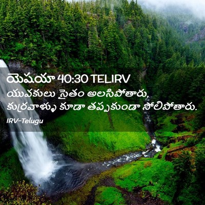 Picture 02 - యెషయా 40:30 TELIRV - యువకులు సైతం - Bible Verse Picture