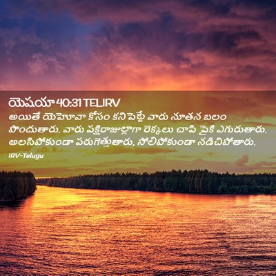 Picture 02 - యెషయా 40:31 TELIRV - అయితే యెహోవా కోసం - Bible Verse Picture