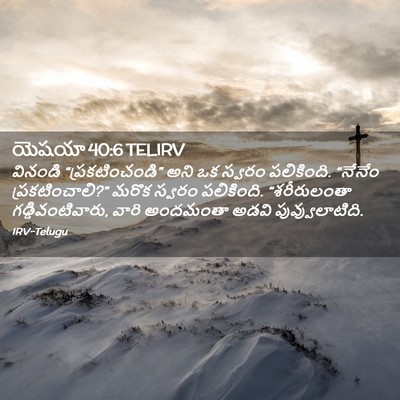 Picture 02 - యెషయా 40:6 TELIRV - వినండి - Bible Verse Picture