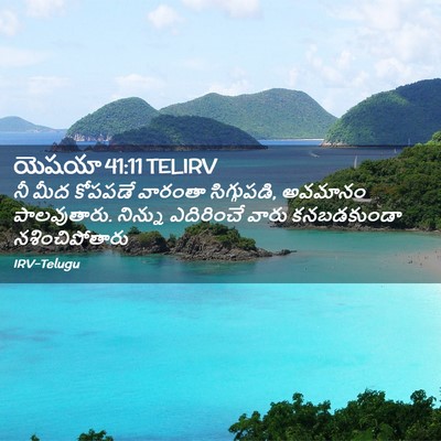 Picture 02 - యెషయా 41:11 TELIRV - నీ మీద కోపపడే - Bible Verse Picture