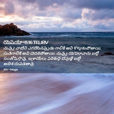 Picture 02 - యెషయా 41:16 TELIRV - నువ్వు వాటిని - Bible Verse Picture