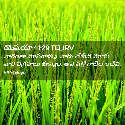 Picture 02 - యెషయా 41:29 TELIRV - వారంతా మోసగాళ్ళు. - Bible Verse Picture
