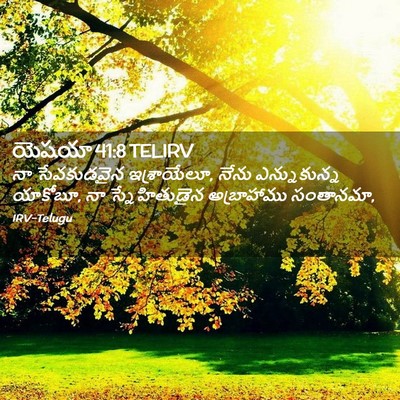 Picture 02 - యెషయా 41:8 TELIRV - నా సేవకుడవైన - Bible Verse Picture