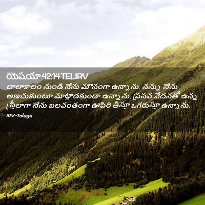 Picture 02 - యెషయా 42:14 TELIRV - చాలాకాలం నుండి - Bible Verse Picture