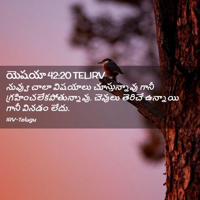 Picture 02 - యెషయా 42:20 TELIRV - నువ్వు చాలా - Bible Verse Picture
