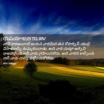 Picture 02 - యెషయా 42:25 TELIRV - దాని కారణంగానే - Bible Verse Picture