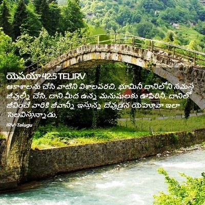 Picture 02 - యెషయా 42:5 TELIRV - ఆకాశాలను చేసి - Bible Verse Picture