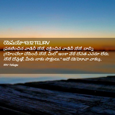 Picture 02 - యెషయా 43:12 TELIRV - ప్రకటించిన వాడినీ - Bible Verse Picture