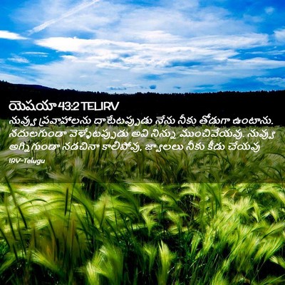 Picture 02 - యెషయా 43:2 TELIRV - నువ్వు ప్రవాహాలను - Bible Verse Picture