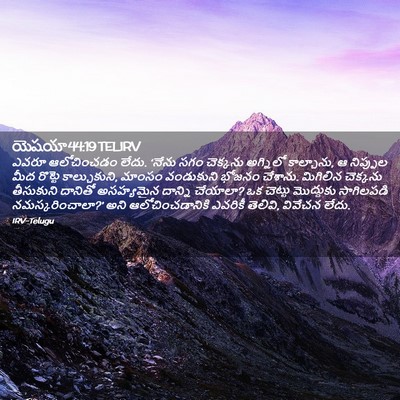 Picture 02 - యెషయా 44:19 TELIRV - ఎవరూ ఆలోచించడం - Bible Verse Picture