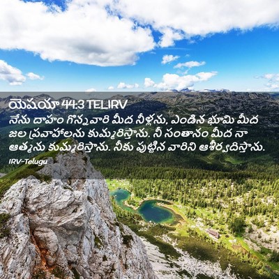Picture 02 - యెషయా 44:3 TELIRV - నేను దాహం - Bible Verse Picture