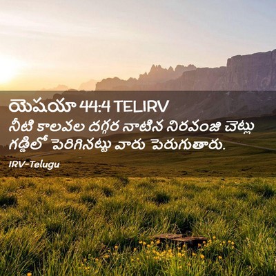 Picture 02 - యెషయా 44:4 TELIRV - నీటి కాలవల దగ్గర - Bible Verse Picture