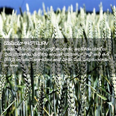 Picture 02 - యెషయా 44:5 TELIRV - ఒకడు, ‘నేను యెహోవా - Bible Verse Picture
