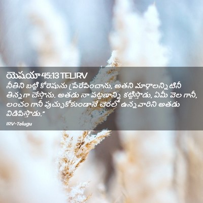 Picture 02 - యెషయా 45:13 TELIRV - నీతిని బట్టి - Bible Verse Picture