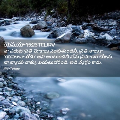 Picture 02 - యెషయా 45:23 TELIRV - నా ఎదుట ప్రతి - Bible Verse Picture