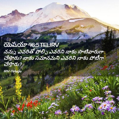 Picture 02 - యెషయా 46:5 TELIRV - నన్ను ఎవరితో - Bible Verse Picture