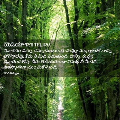 Picture 02 - యెషయా 47:11 TELIRV - వినాశనం నిన్ను - Bible Verse Picture