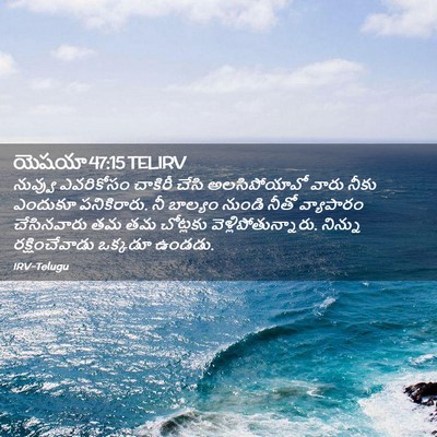 Picture 02 - యెషయా 47:15 TELIRV - నువ్వు ఎవరికోసం - Bible Verse Picture