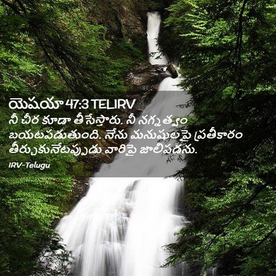 Picture 02 - యెషయా 47:3 TELIRV - నీ చీర కూడా - Bible Verse Picture