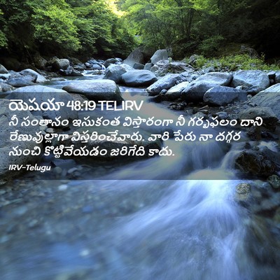 Picture 02 - యెషయా 48:19 TELIRV - నీ సంతానం ఇసుకంత - Bible Verse Picture