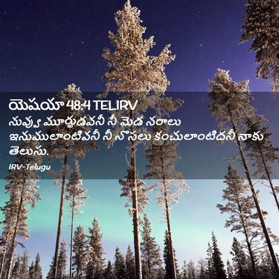 Picture 02 - యెషయా 48:4 TELIRV - నువ్వు మూర్ఖుడవనీ - Bible Verse Picture