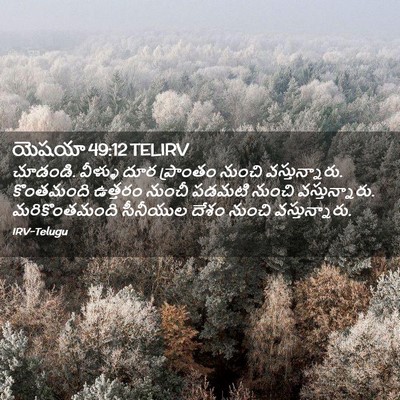 Picture 02 - యెషయా 49:12 TELIRV - చూడండి. వీళ్ళు దూర - Bible Verse Picture