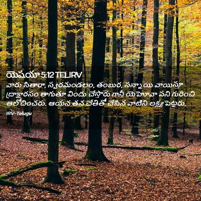 Picture 02 - యెషయా 5:12 TELIRV - వారు సితారా, - Bible Verse Picture