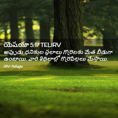 Picture 02 - యెషయా 5:17 TELIRV - అప్పుడు ధనికుల - Bible Verse Picture