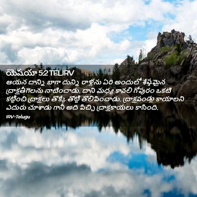 Picture 02 - యెషయా 5:2 TELIRV - ఆయన దాన్ని బాగా - Bible Verse Picture