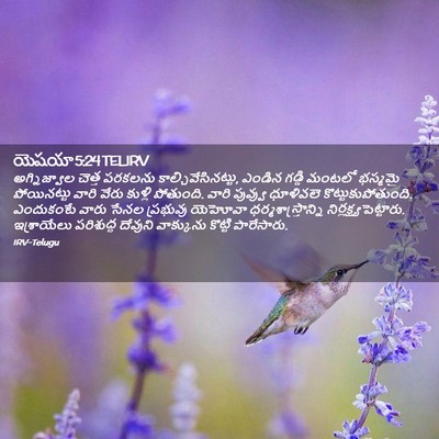 Picture 02 - యెషయా 5:24 TELIRV - అగ్నిజ్వాల చెత్త - Bible Verse Picture
