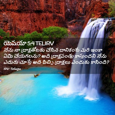 Picture 02 - యెషయా 5:4 TELIRV - నేను నా - Bible Verse Picture