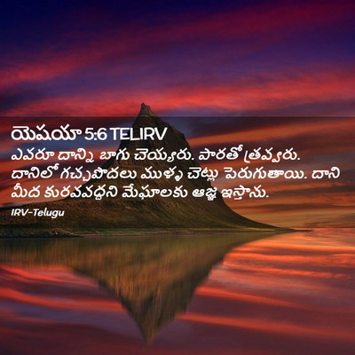 Picture 02 - యెషయా 5:6 TELIRV - ఎవరూ దాన్ని బాగు - Bible Verse Picture