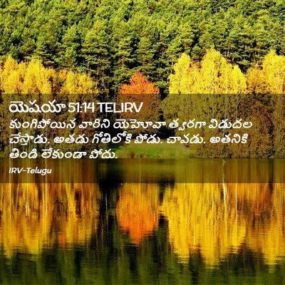 Picture 02 - యెషయా 51:14 TELIRV - కుంగిపోయిన వారిని - Bible Verse Picture