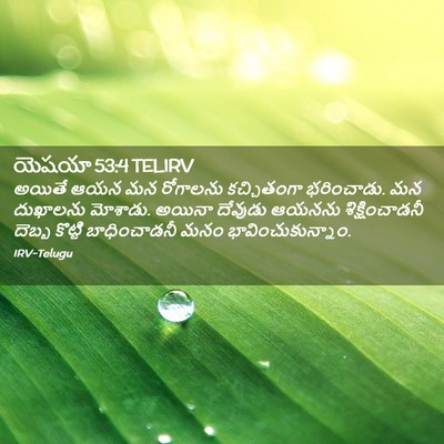 Picture 02 - యెషయా 53:4 TELIRV - అయితే ఆయన మన - Bible Verse Picture