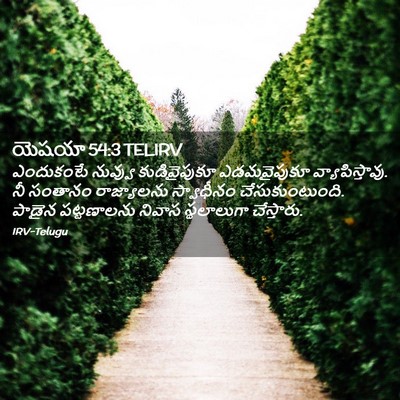 Picture 02 - యెషయా 54:3 TELIRV - ఎందుకంటే నువ్వు - Bible Verse Picture