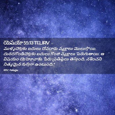 Picture 02 - యెషయా 55:13 TELIRV - ముళ్ళచెట్లకు - Bible Verse Picture