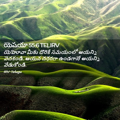 Picture 02 - యెషయా 55:6 TELIRV - యెహోవా మీకు - Bible Verse Picture