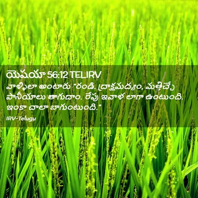 Picture 02 - యెషయా 56:12 TELIRV - వాళ్ళిలా అంటారు - Bible Verse Picture