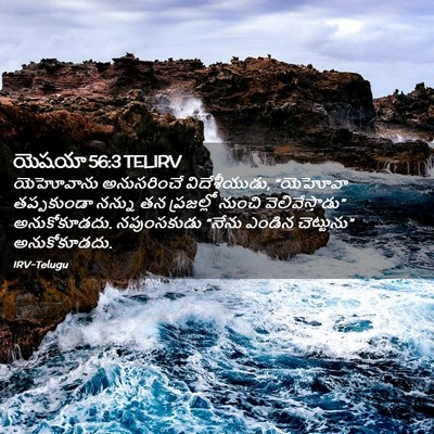 Picture 02 - యెషయా 56:3 TELIRV - యెహోవాను - Bible Verse Picture
