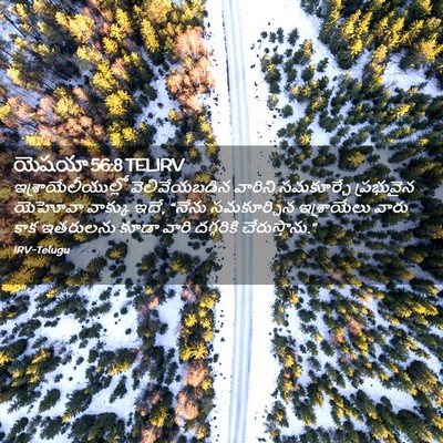 Picture 02 - యెషయా 56:8 TELIRV - ఇశ్రాయేలీయుల్లో - Bible Verse Picture